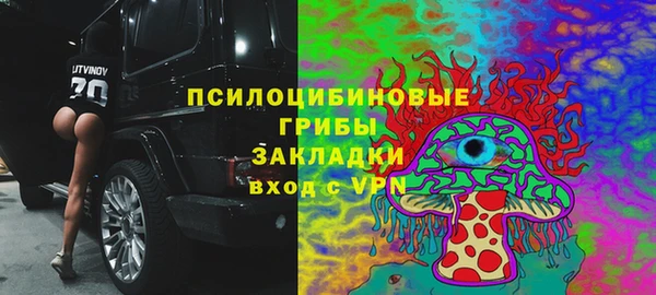 винт Алексин