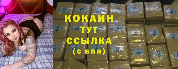 спайс Алзамай