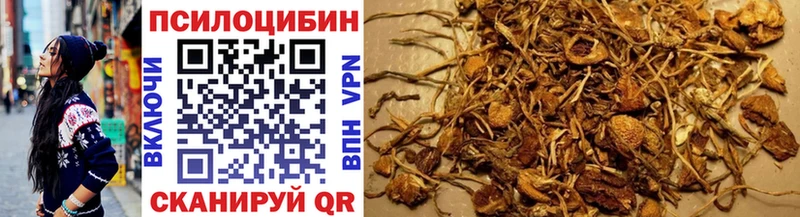 сколько стоит  Юрьев-Польский  Псилоцибиновые грибы прущие грибы 