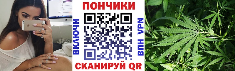 Бошки Шишки OG Kush  хочу наркоту  Юрьев-Польский 